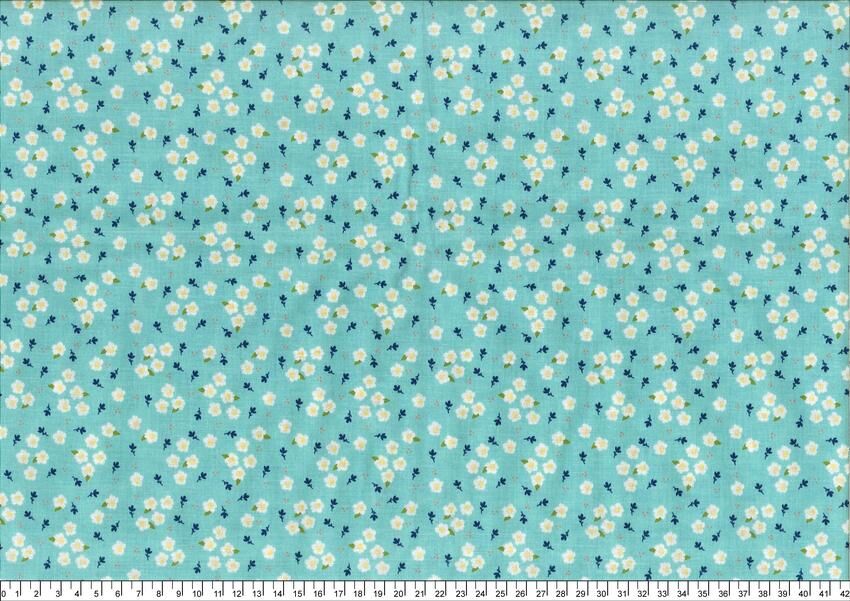 進口棉布R250324-016(一尺)