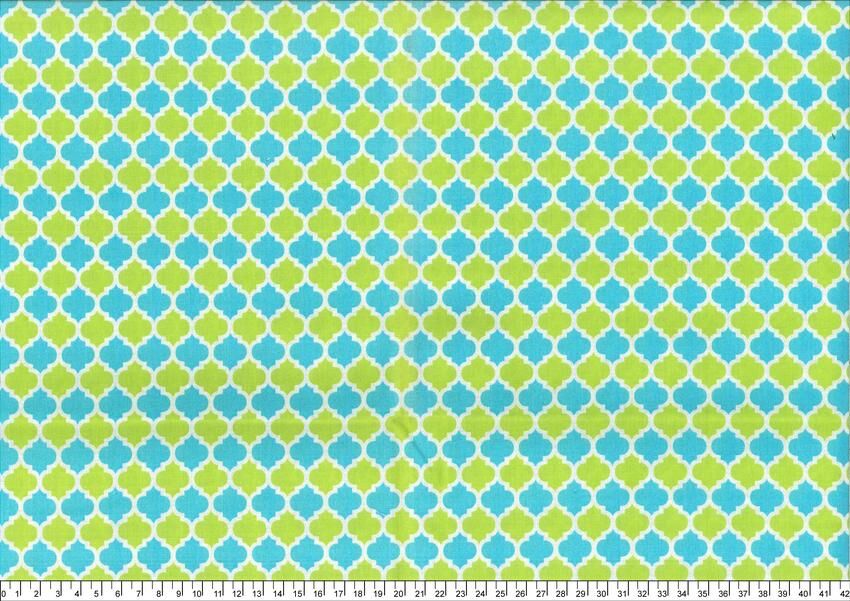 進口棉布R250324-027(一尺)