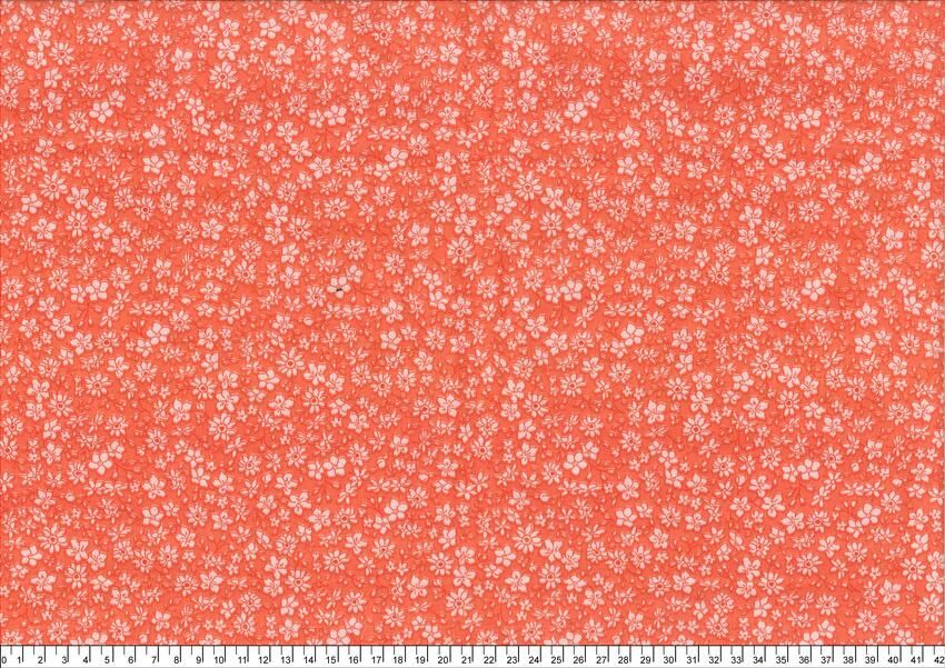 進口棉布R250324-044(一尺)