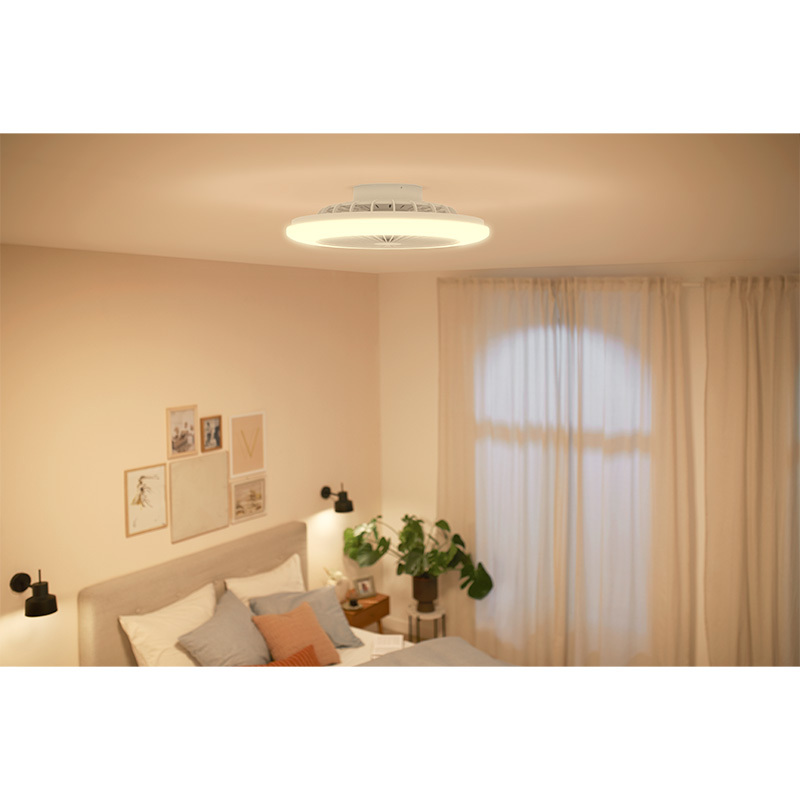 Amigo Flat Fan Ceiling