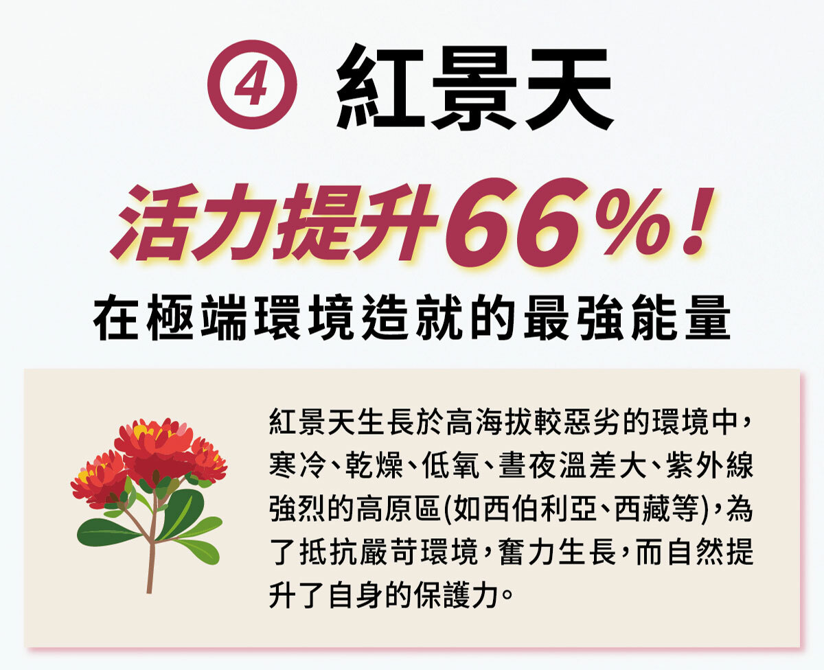 紅麴Q10銷售頁-15