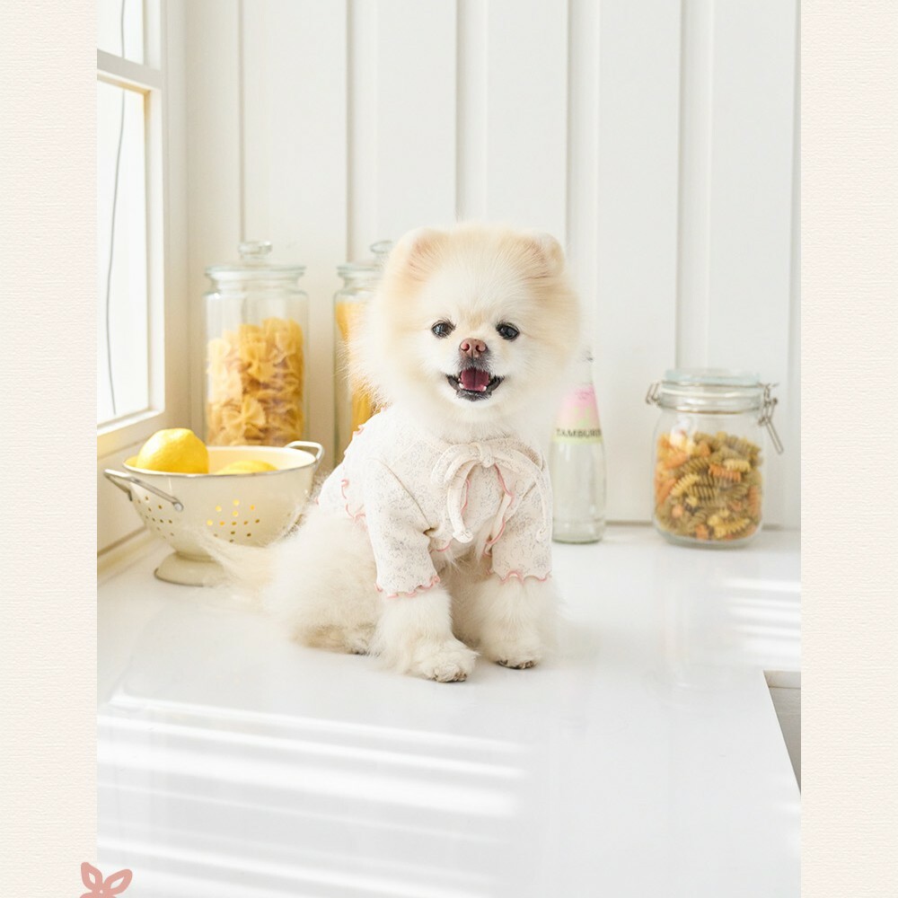 Noutti Paisley 梨花織語套裝