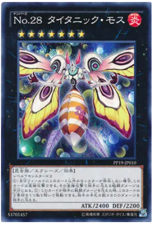 PP19-JP010 No28タイタニックモス