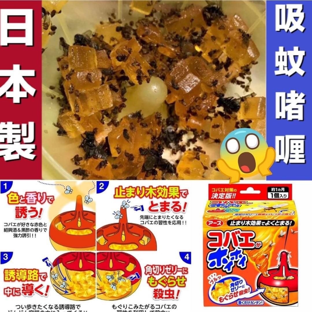 日本EARTH地球製藥黏果蠅誘補器 / 2個