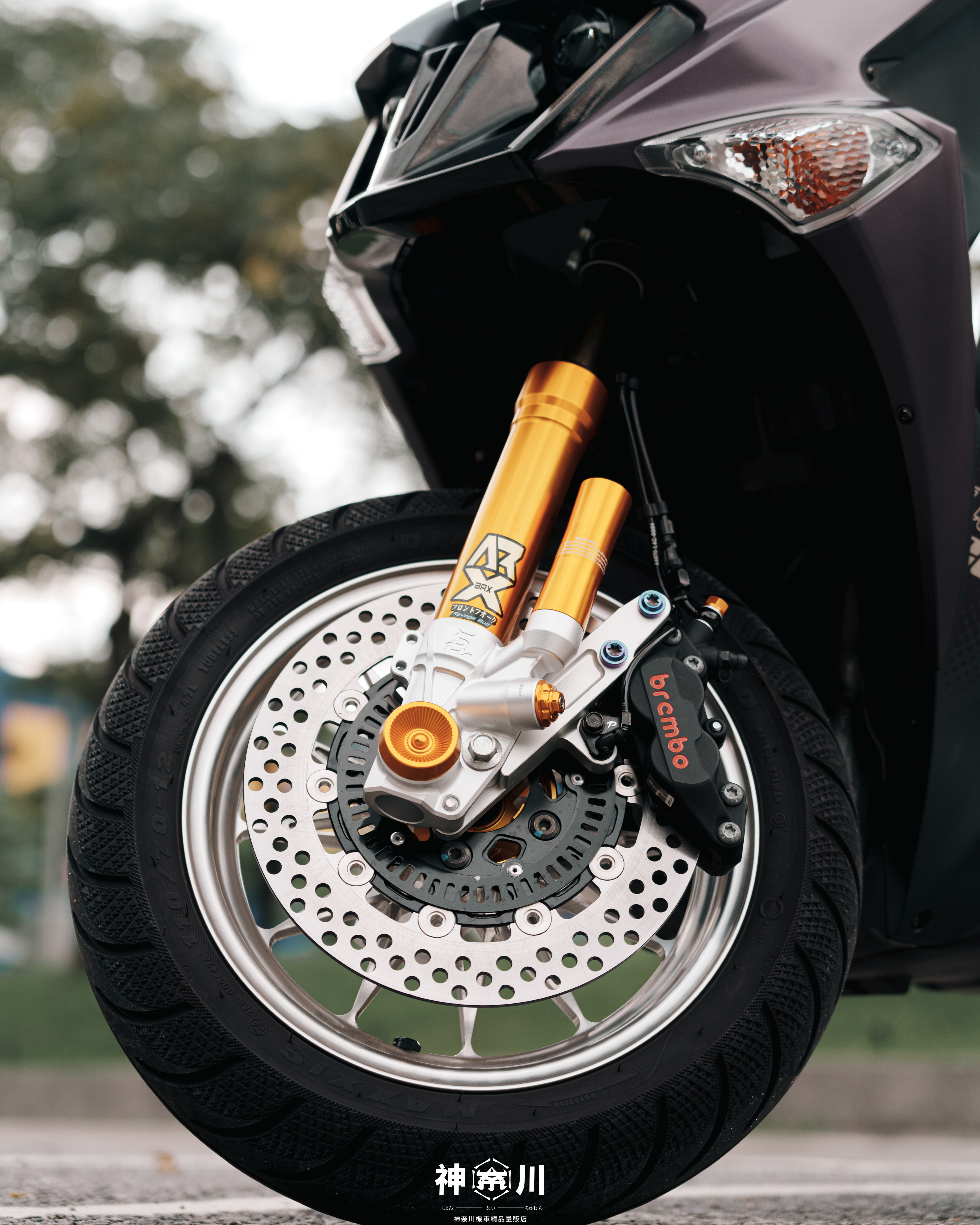 【野蠻公牛 ARX PRO全可調前叉】