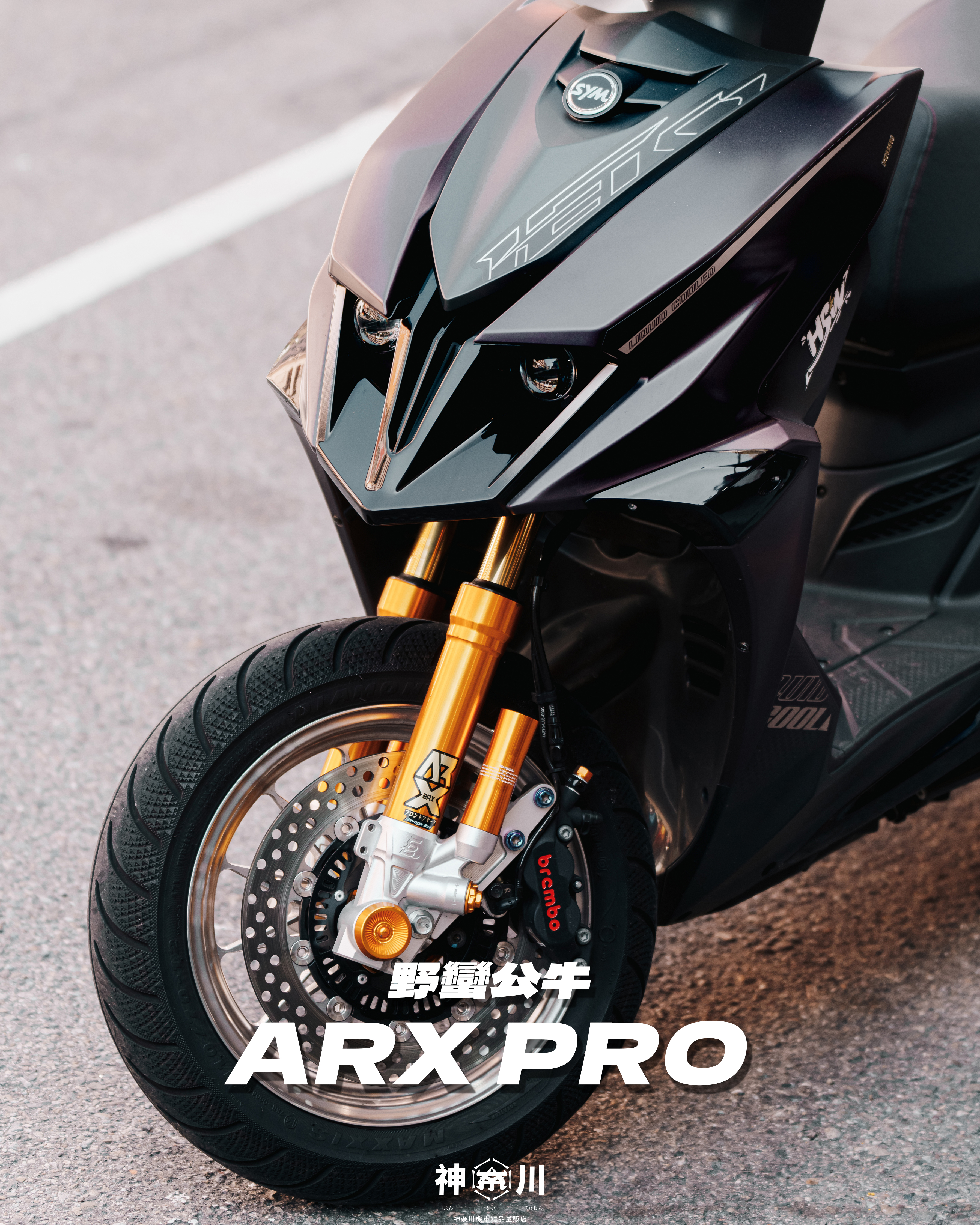 【野蠻公牛 ARX PRO全可調前叉】