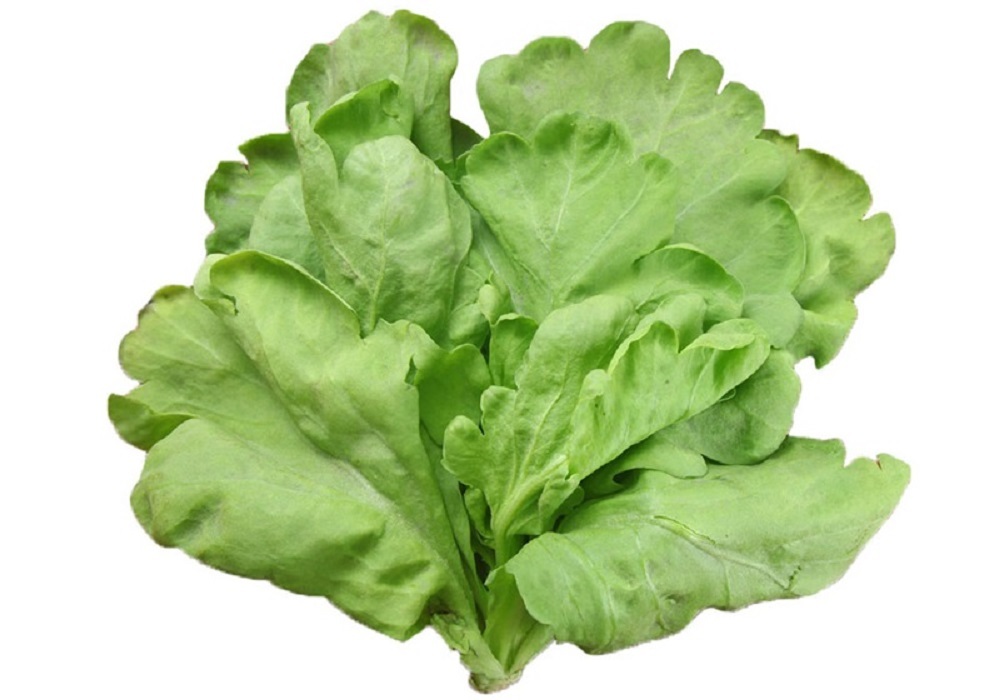 本地有機茼蒿 (斤)