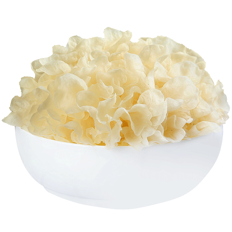 Local Organic Snow Fungus (BOX)