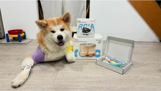 enabot, rola mini, 智慧居家攝影機, 寵物攝影機, 遠端遙控, 全家移動的寵物攝影機