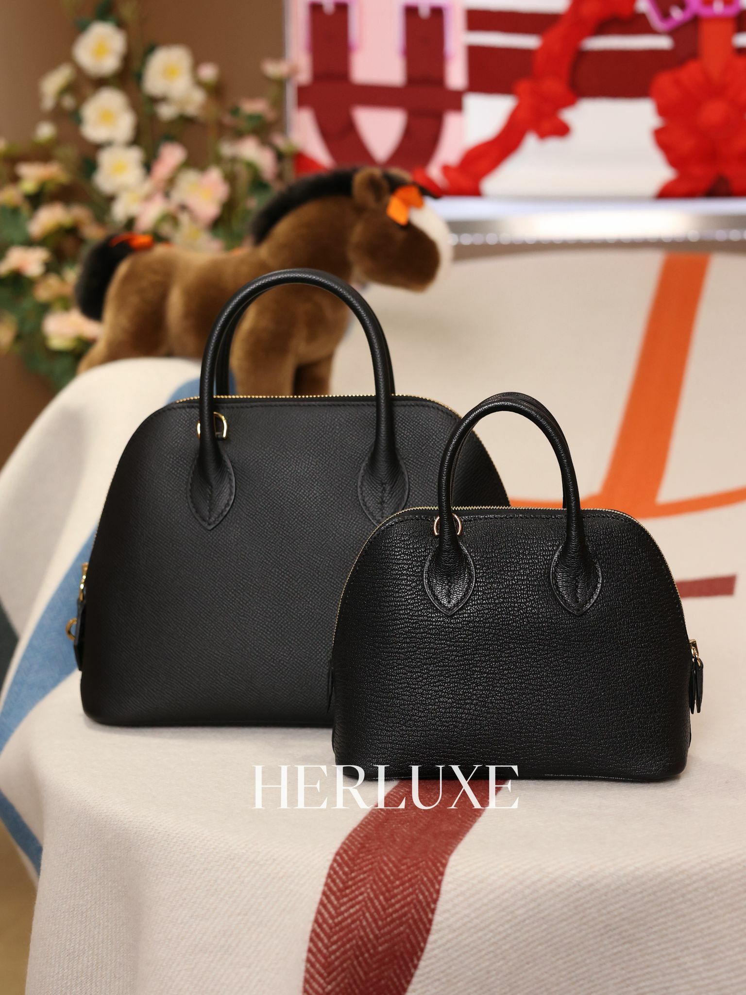 Bolide mini  89 noir cc chèvre K