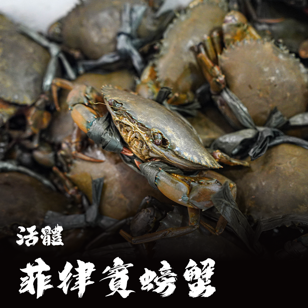 【活體殺清冷凍寄出】菲律賓蟳類/螃蟹，沙公沙母紅蟳處女蟳