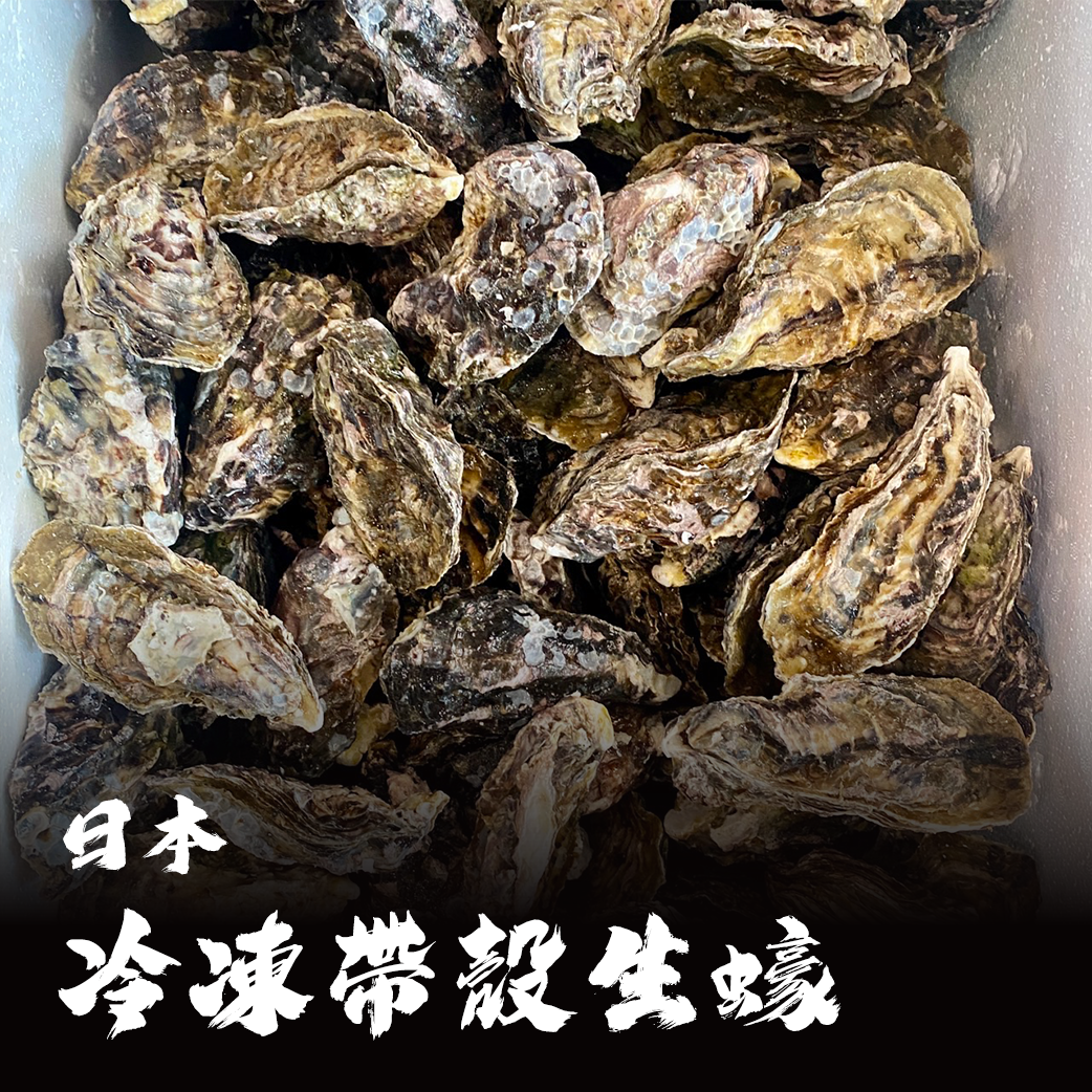日本 生蠔 / 牡蠣（帶殼）
