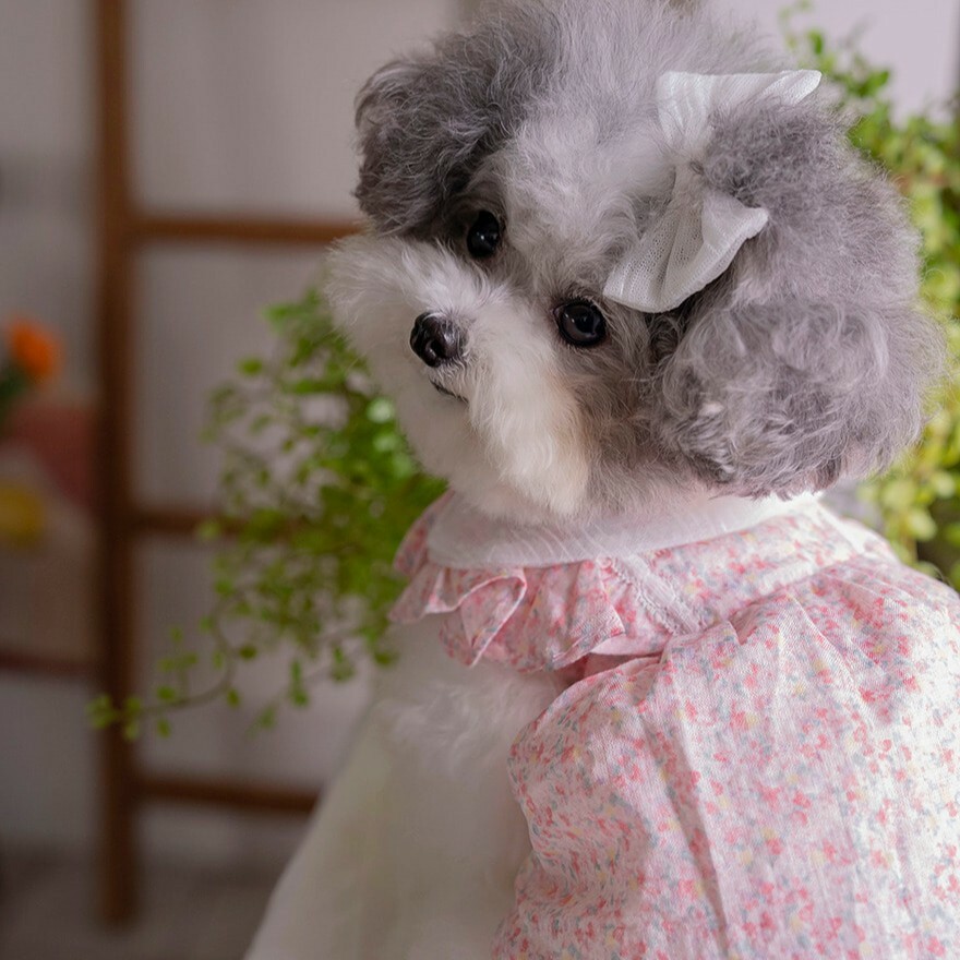 OPAAAP 粉綻花語髮飾