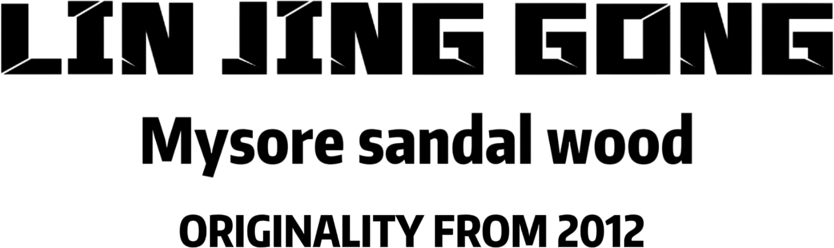 LIN JING GONG Logo