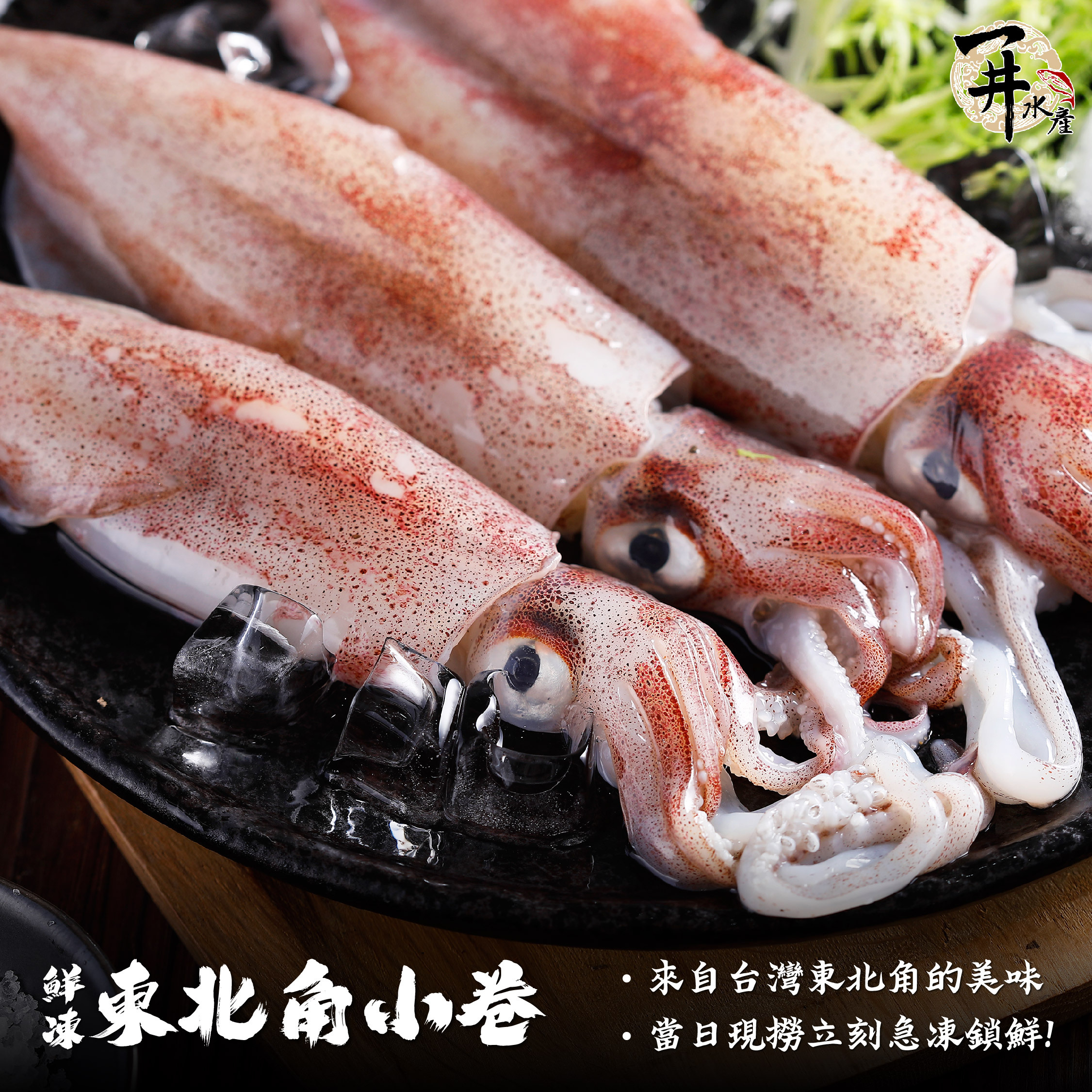 台灣 東北角小卷/咪咪卷