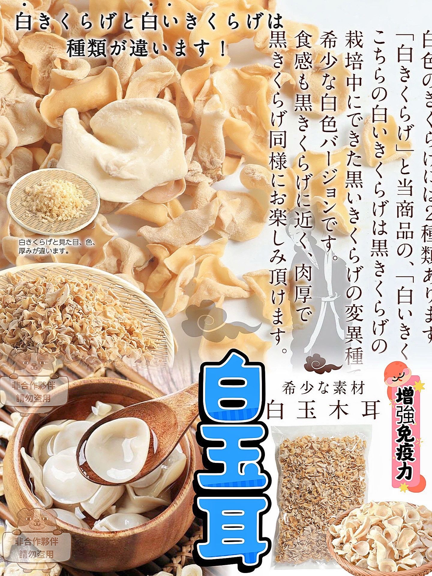 菌中之王白玉耳