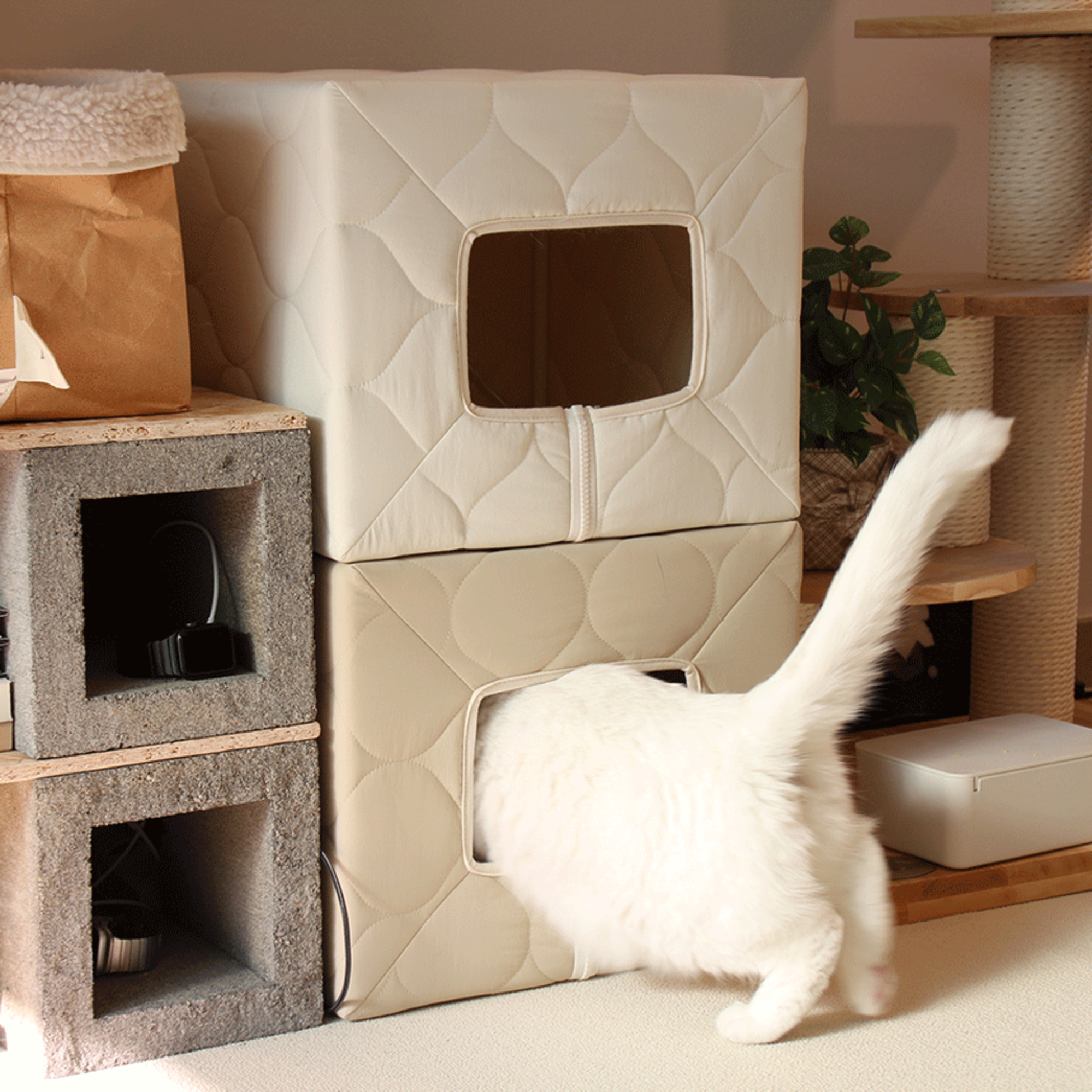 gottagohome．柔紋秘密方窩（含抓墊）