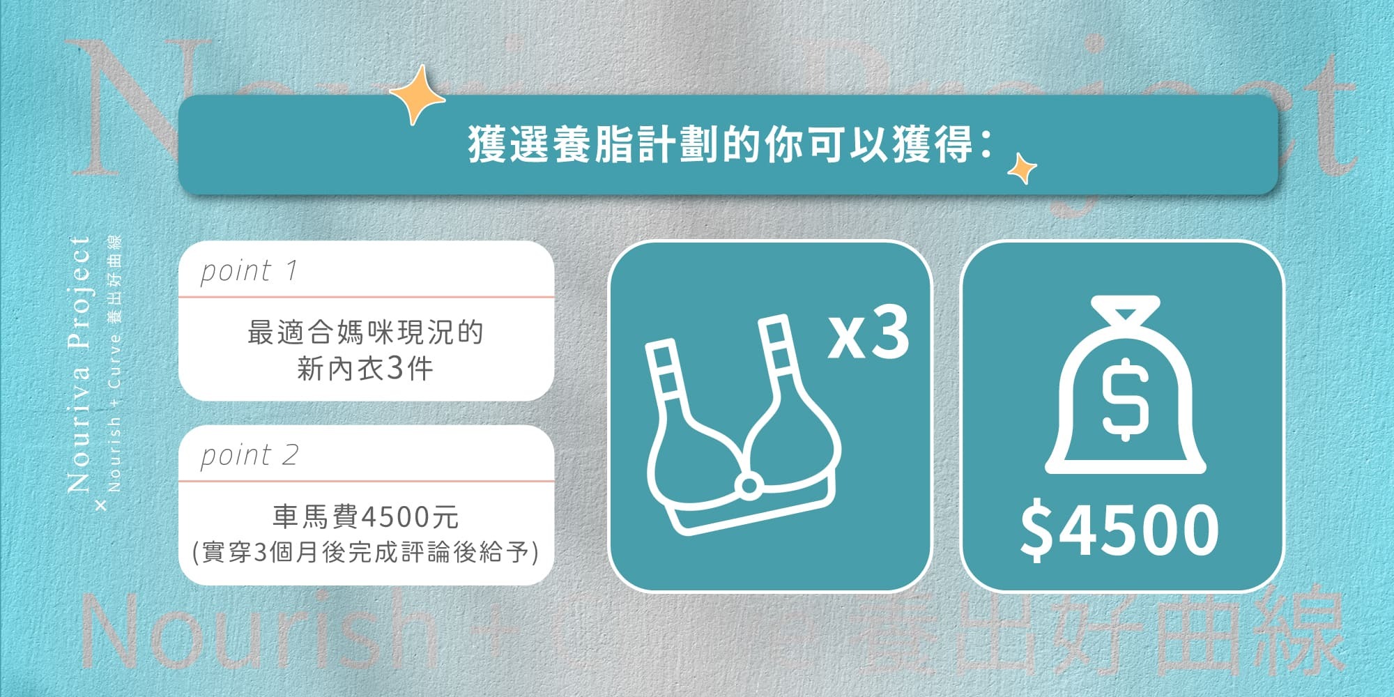 2025養脂內衣計畫獲選酬勞