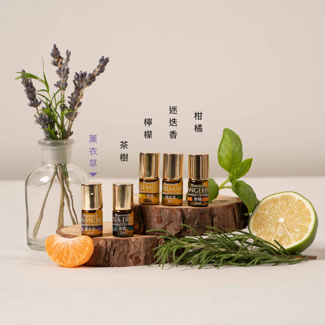 【日常森活推薦】隨身芳療呵護組 | 每日舒活滾珠按摩精油 5 支組+森淨精油噴霧 30ml+隨身收納袋