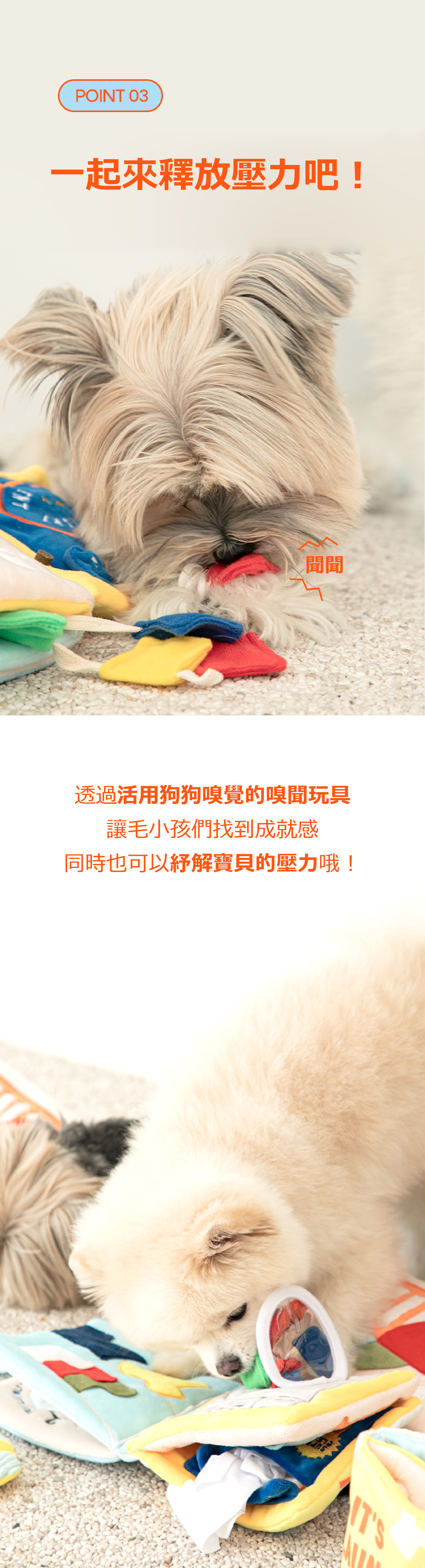 BITE ME My 洗衣書|藏食玩具