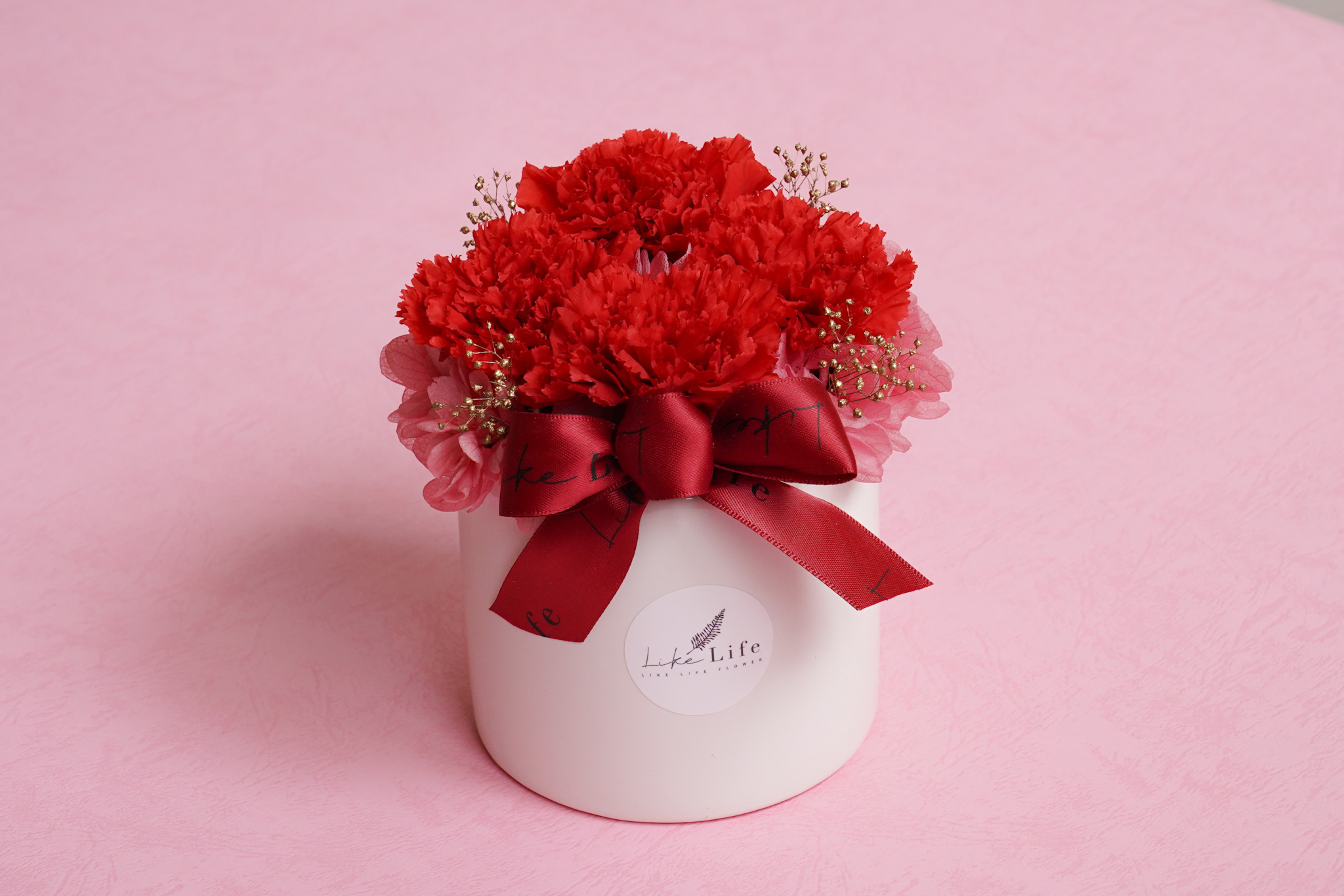 永生花康乃馨盆花,紅色,康乃馨盆栽台北,康乃馨盆花推薦台北