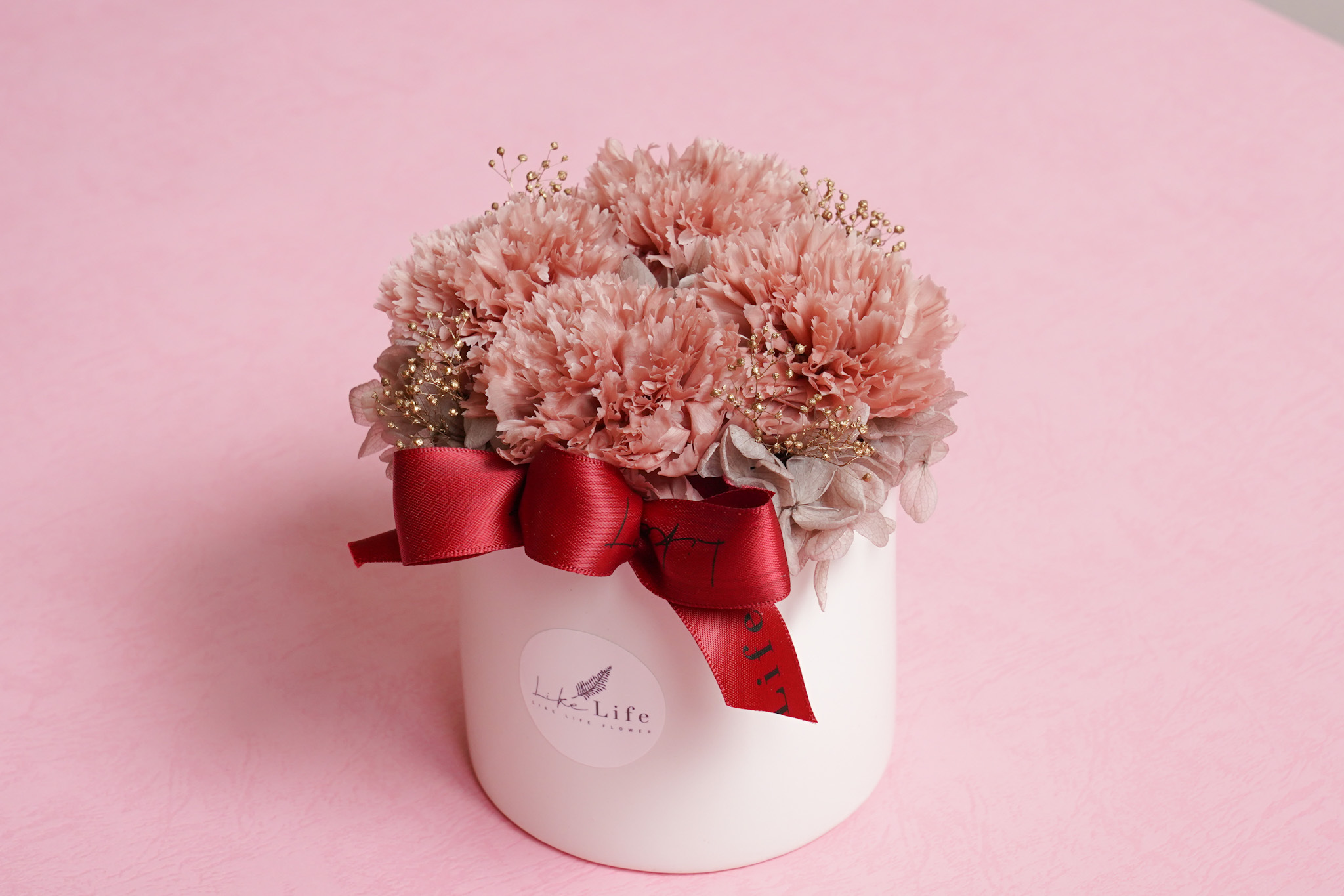 奶茶色康乃馨母親節盆花,奶色永生花康乃馨推薦,台北奶茶色康乃馨盆花哪裡買2