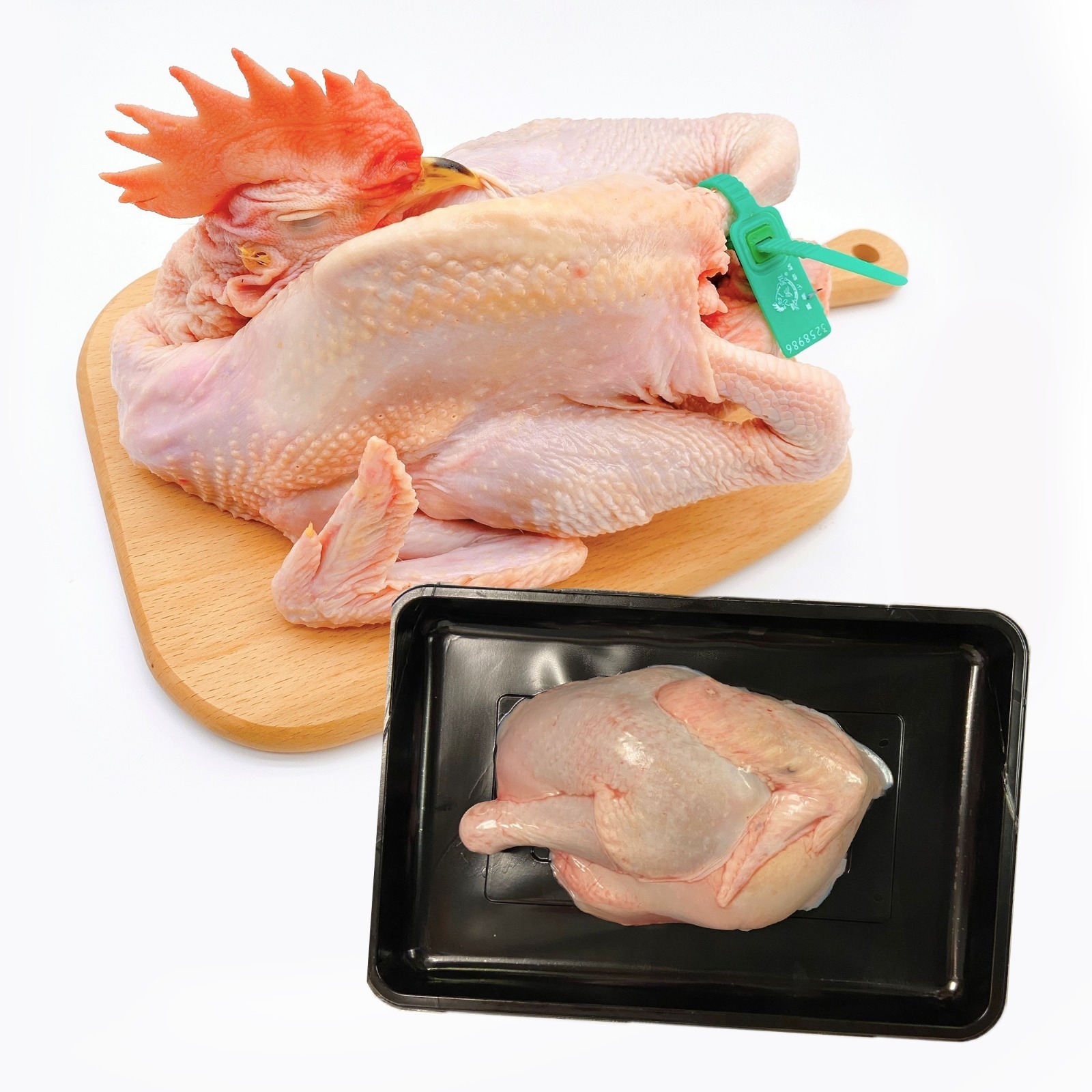 Kamei Rooster (Half portion)