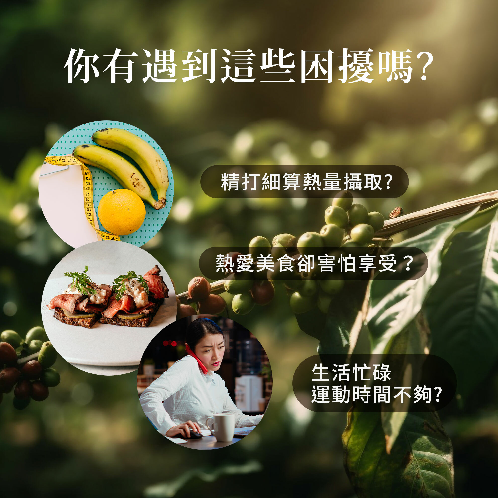 綠咖啡膠囊 (120顆/罐)