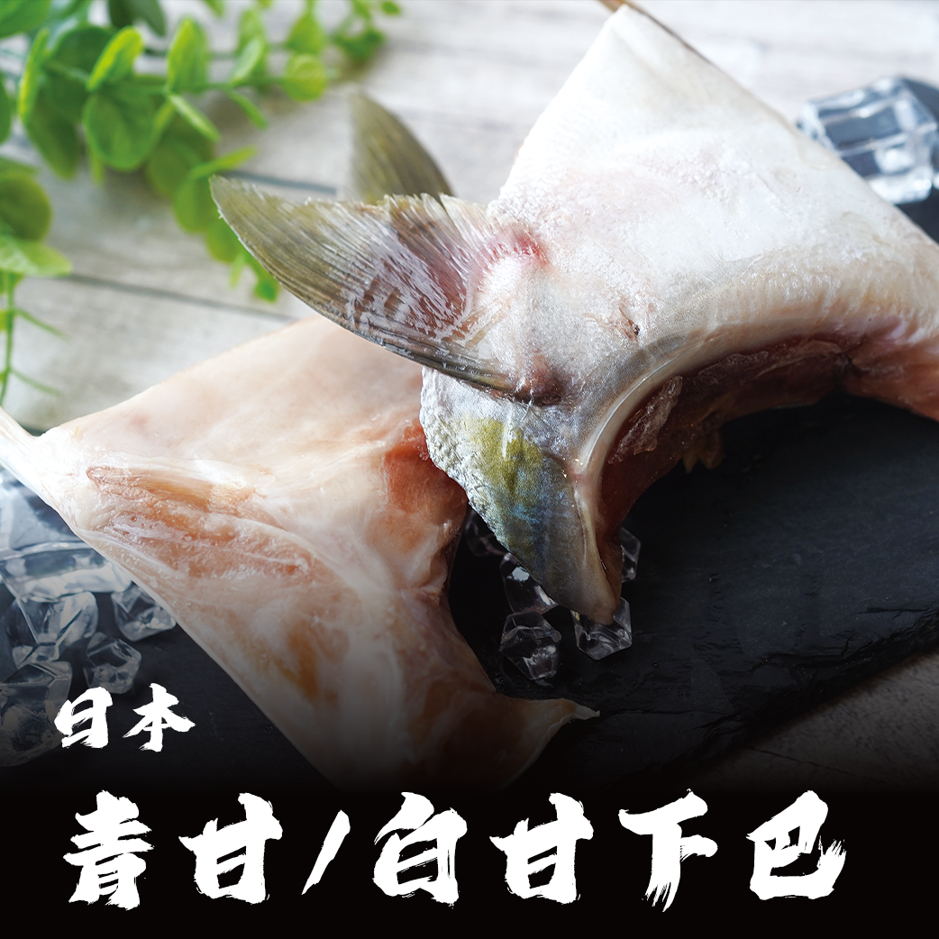 日本 青甘下巴/白甘下巴