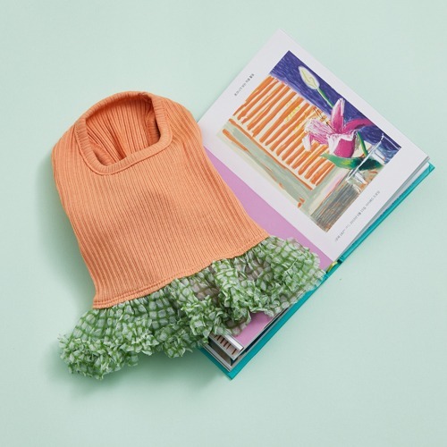 Louisdog 柳橙紗裙上衣