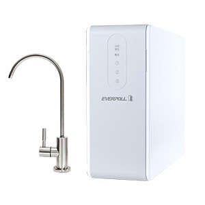 EVERPOLL 愛科 直出RO淨水器RO-600