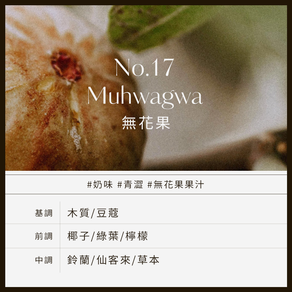 No.17 Muhwagwa無花果