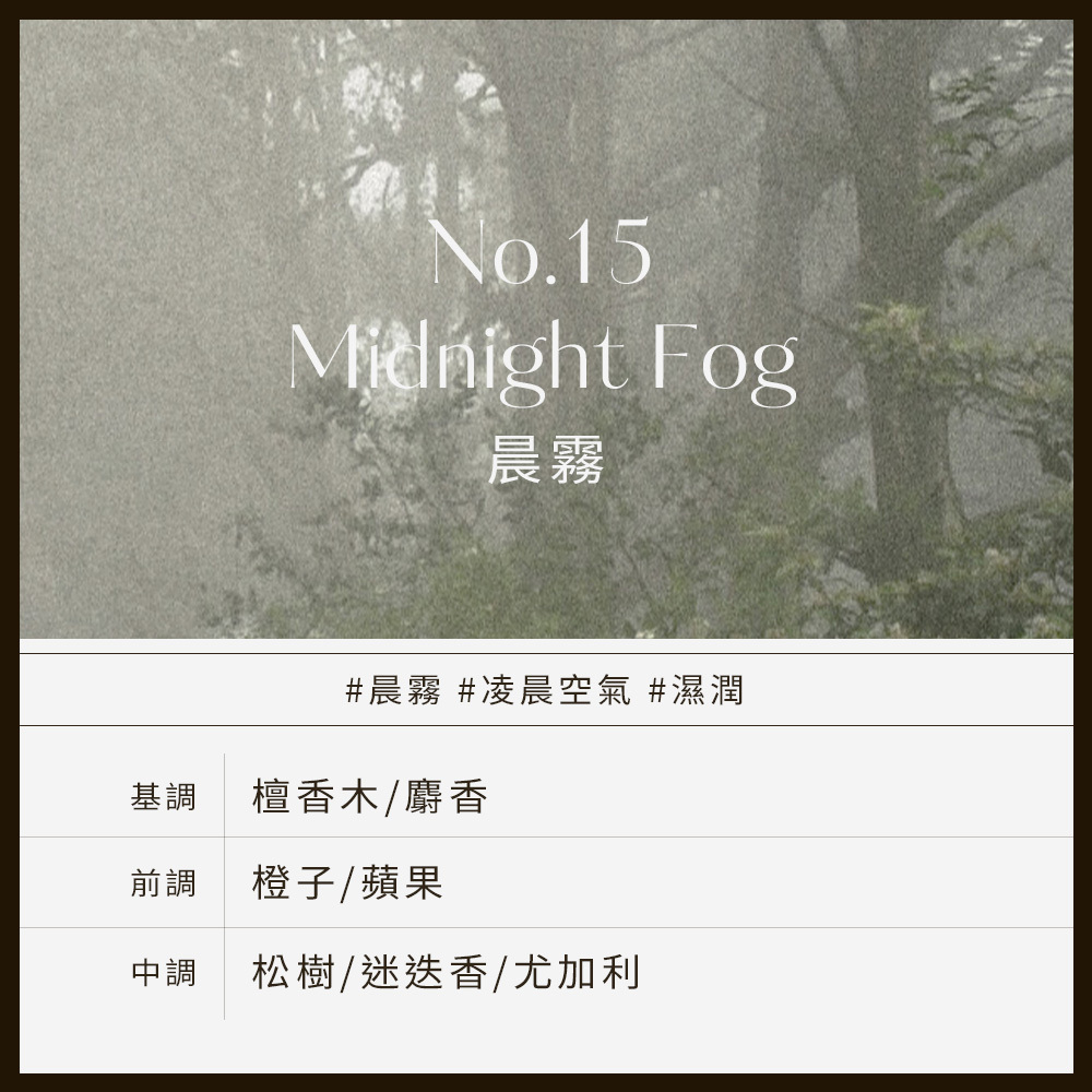 No.15 Midnight Fog晨霧