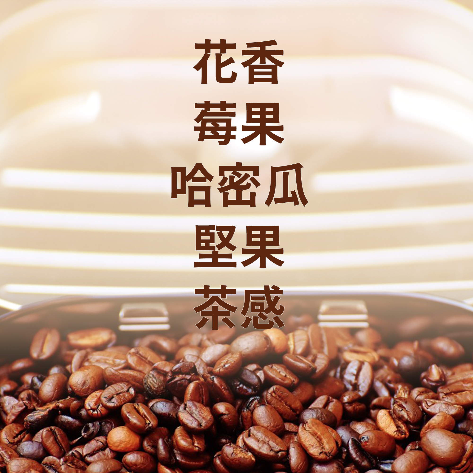 濾掛10包 / 深烘焙 蝴蝶夫人 配方濾掛 / 濾掛包 / 掛耳包