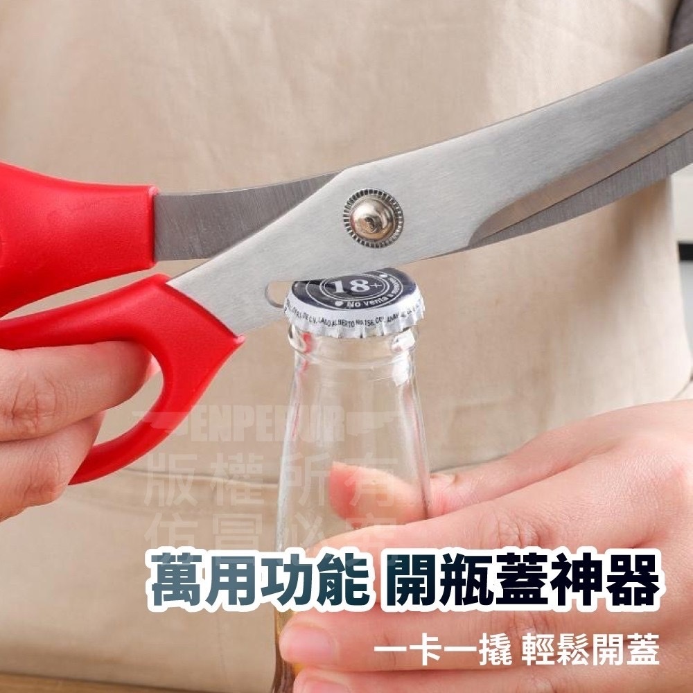 萬用不銹鋼烤肉剪