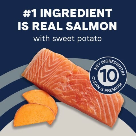 咖比 無穀物海洋成犬配方狗糧 (三文魚&甜薯)