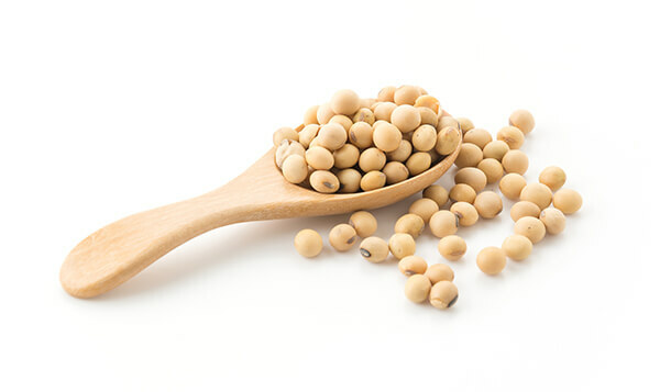 環保與永續 台灣在地黃豆 減少碳足跡 支持本土農業