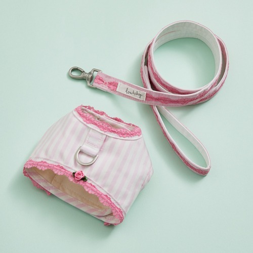 Louisdog 洋娃娃胸背組