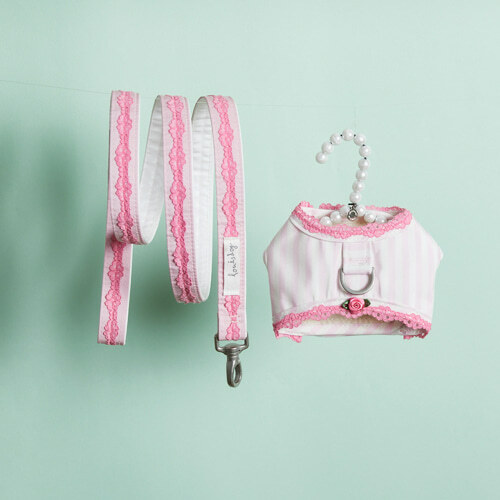 Louisdog 洋娃娃胸背組