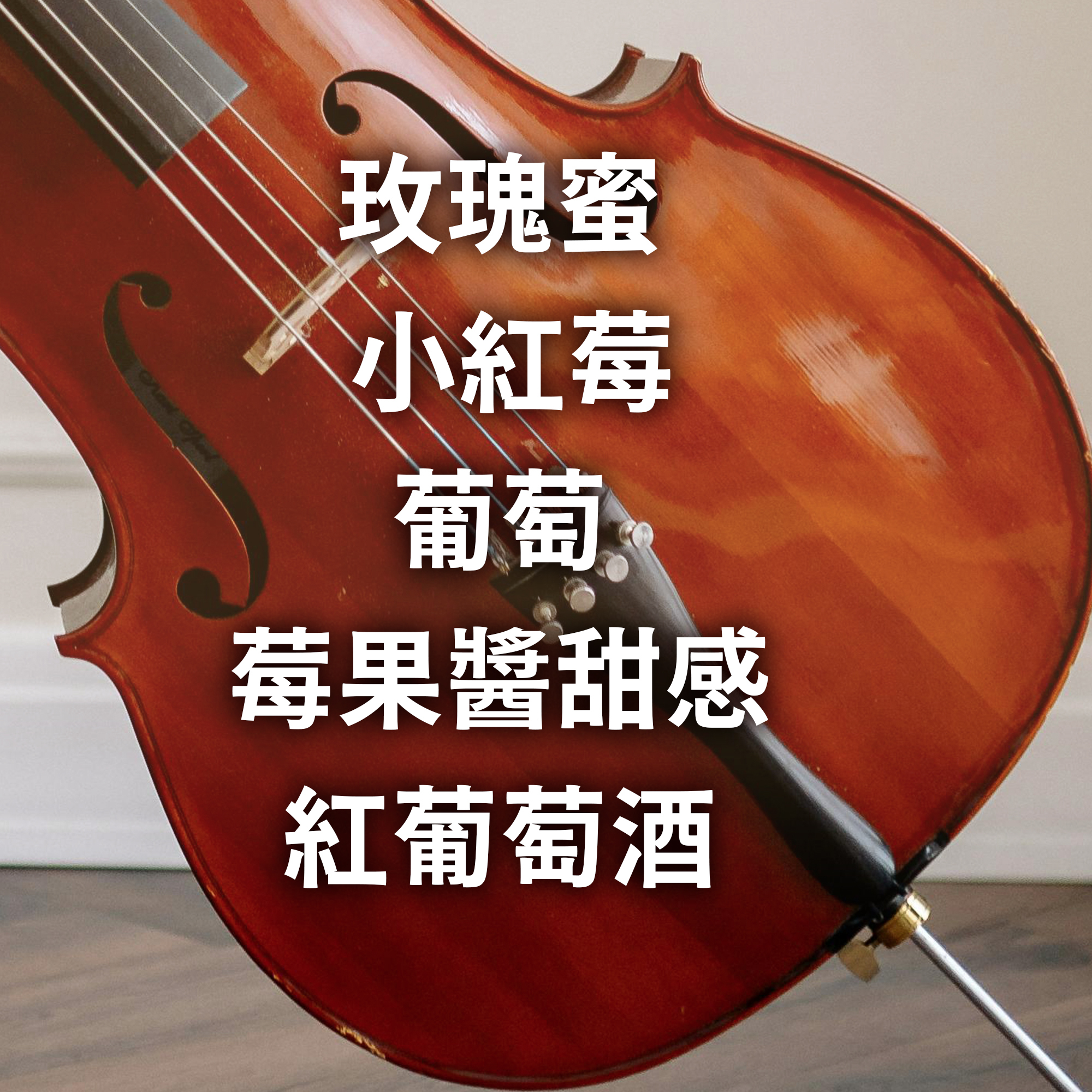 浸泡4入 / 中淺焙 哥斯大黎加 音樂家系列 蕭邦 葡萄乾蜜處理