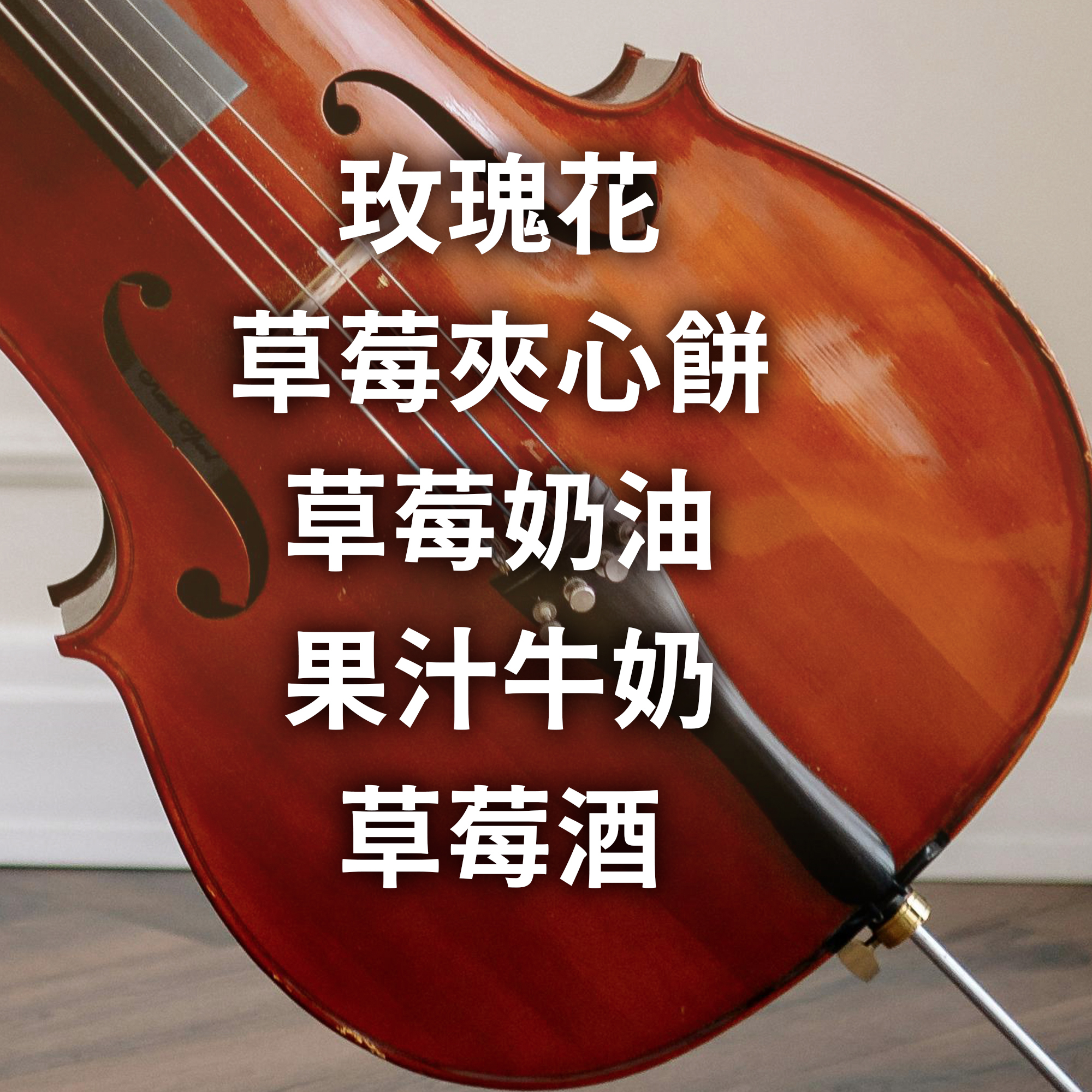 浸泡5包 / 中淺焙 哥斯大黎加 音樂家系列 莫札特 葡萄乾蜜處理