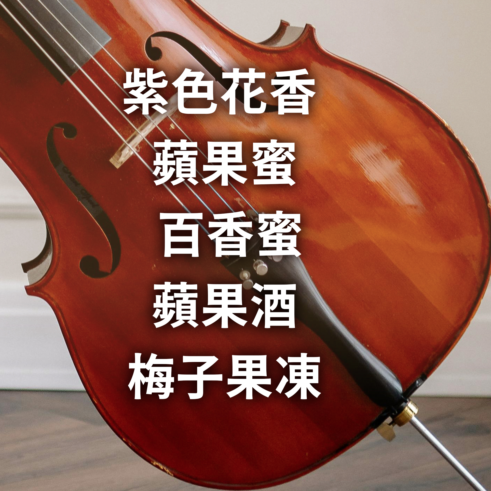 浸泡5入 / 中淺焙 哥斯大黎加 音樂家系列 巴哈 葡萄乾蜜處理