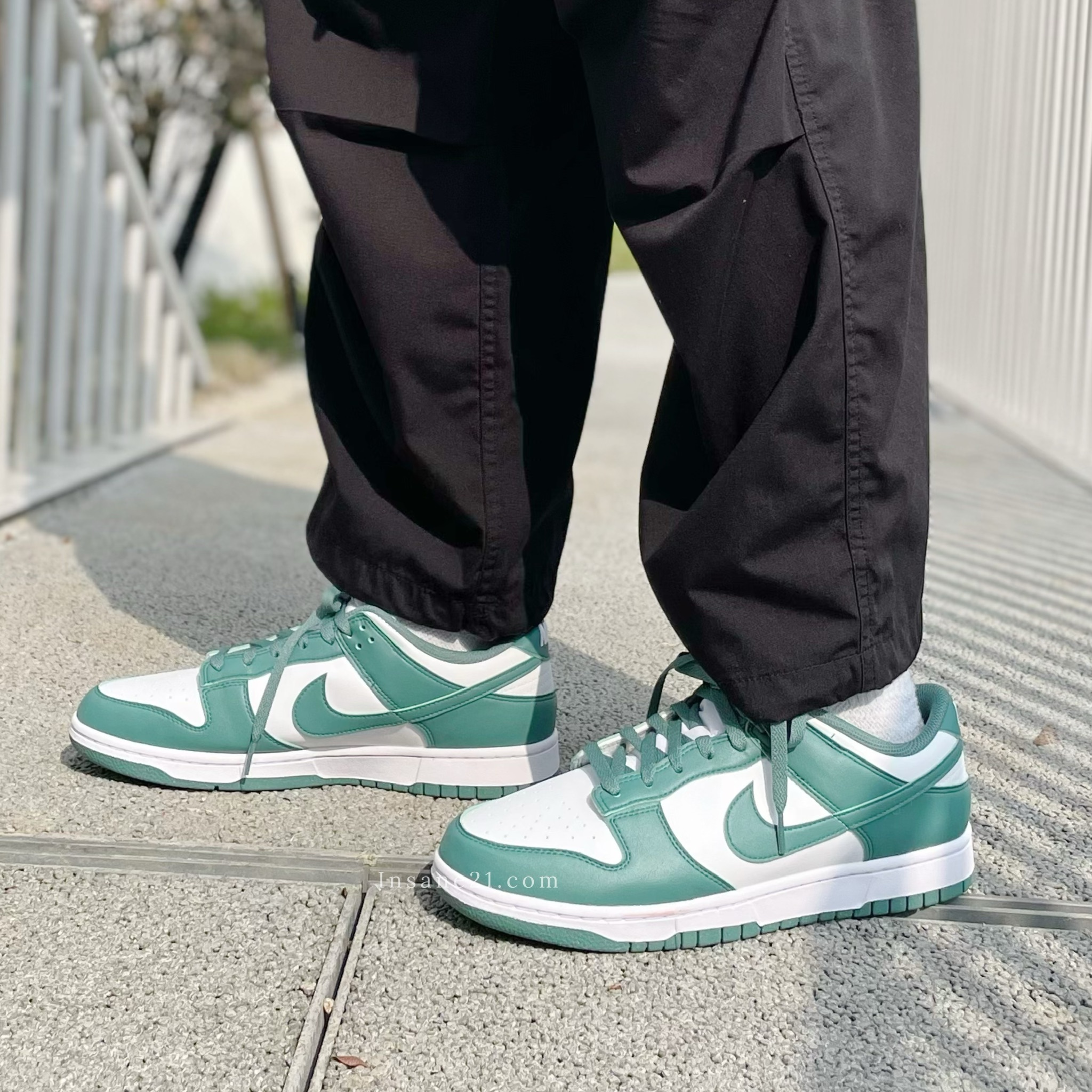 NIKE DUNK LOW NEXT NATURE "BICOASTAL" 寶石綠 白綠 休閒 女款 DD1873-107