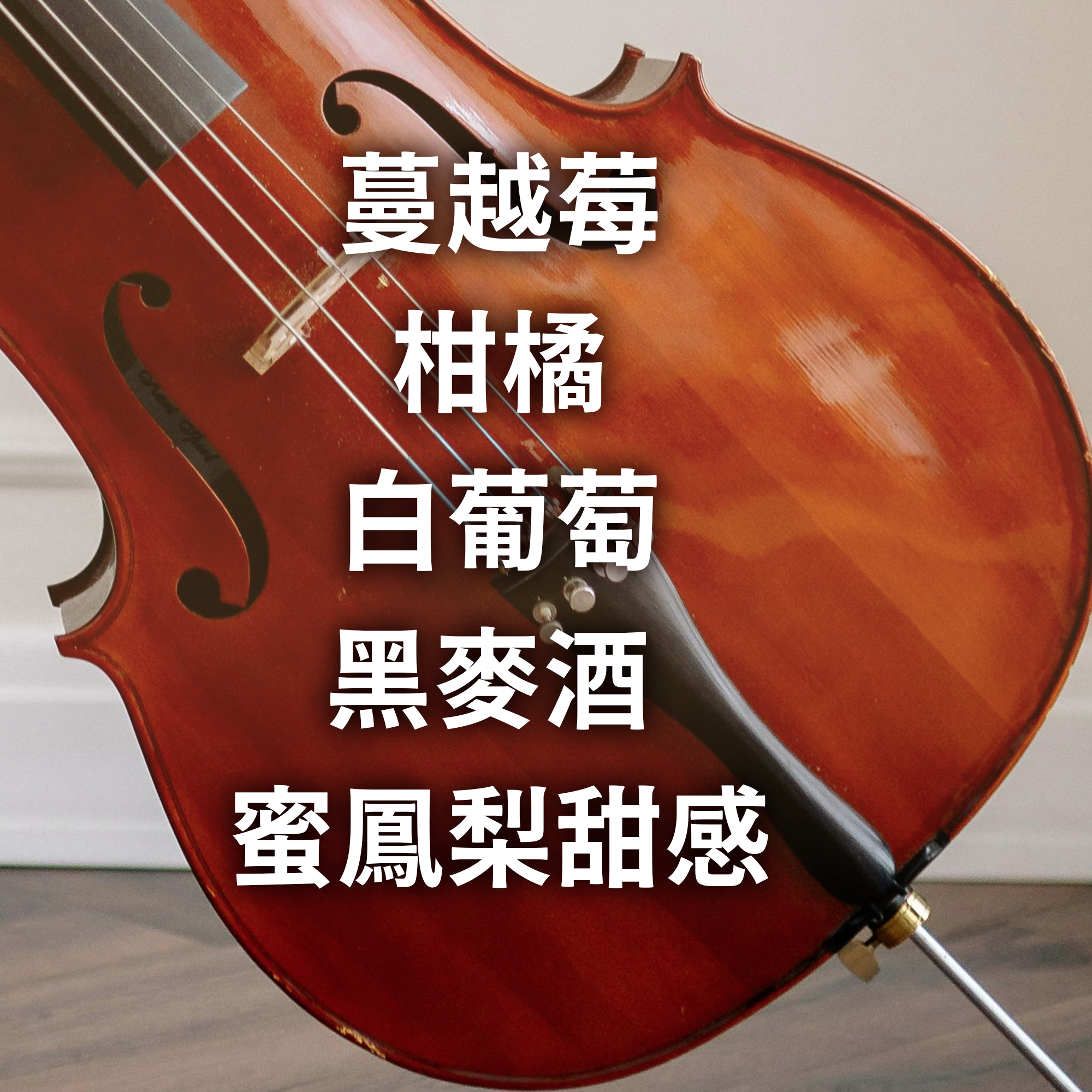 浸泡5入 / 中淺焙 哥斯大黎加 音樂家系列 海頓 天然水果酵母發酵