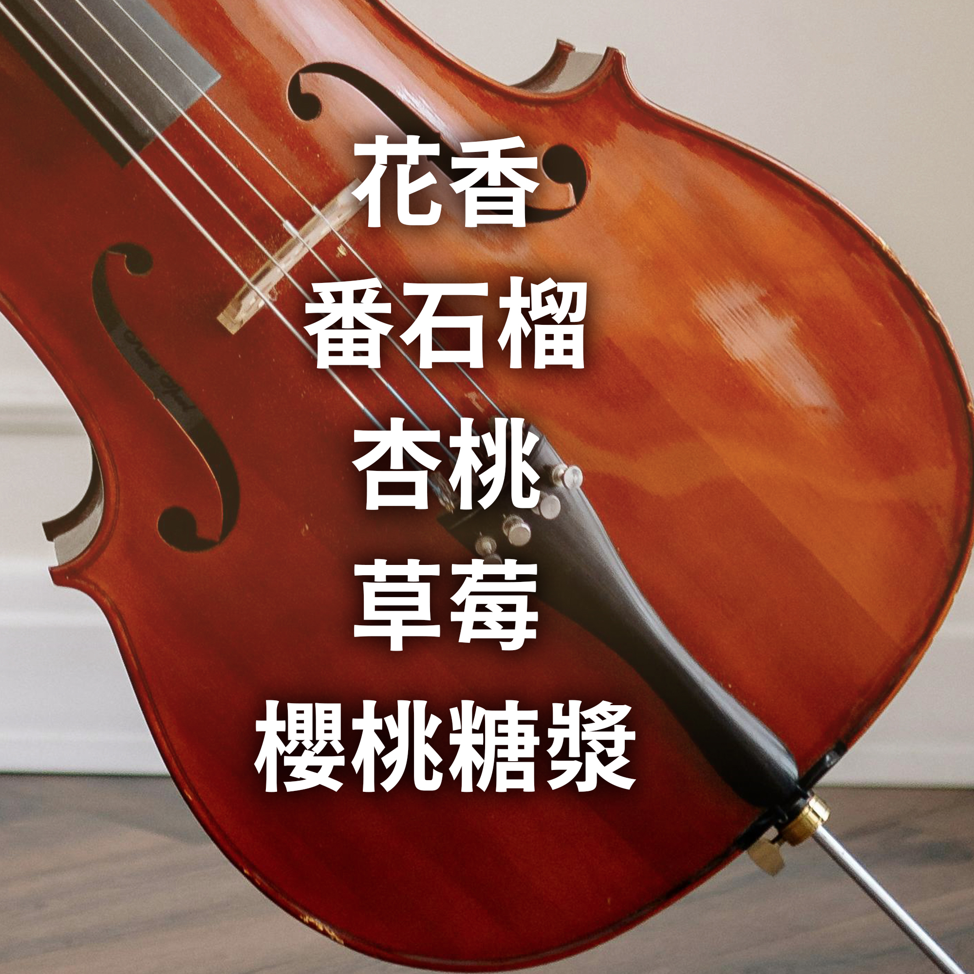 浸泡5入 / 中淺焙 哥斯大黎加 音樂家系列 瓦格納 冰雪日曬