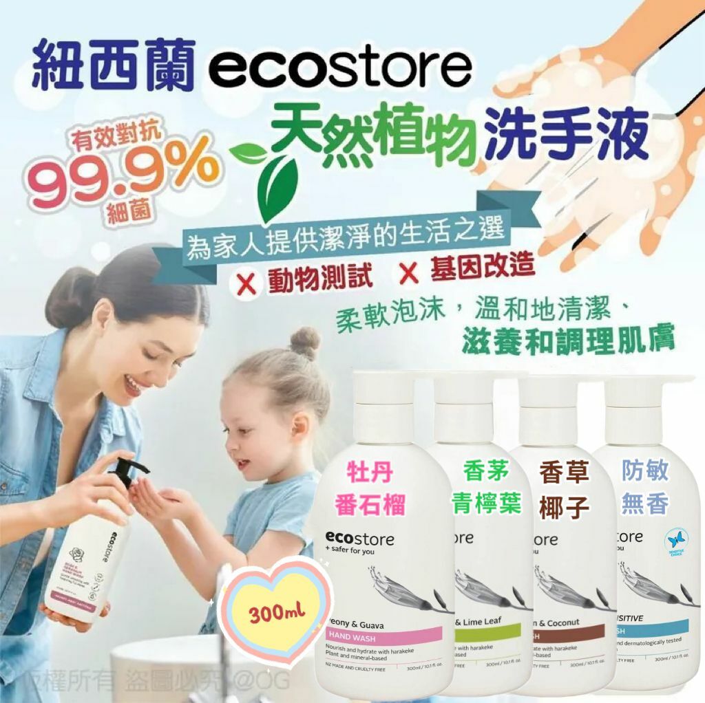 紐西蘭 Ecostore 天然植物洗手液