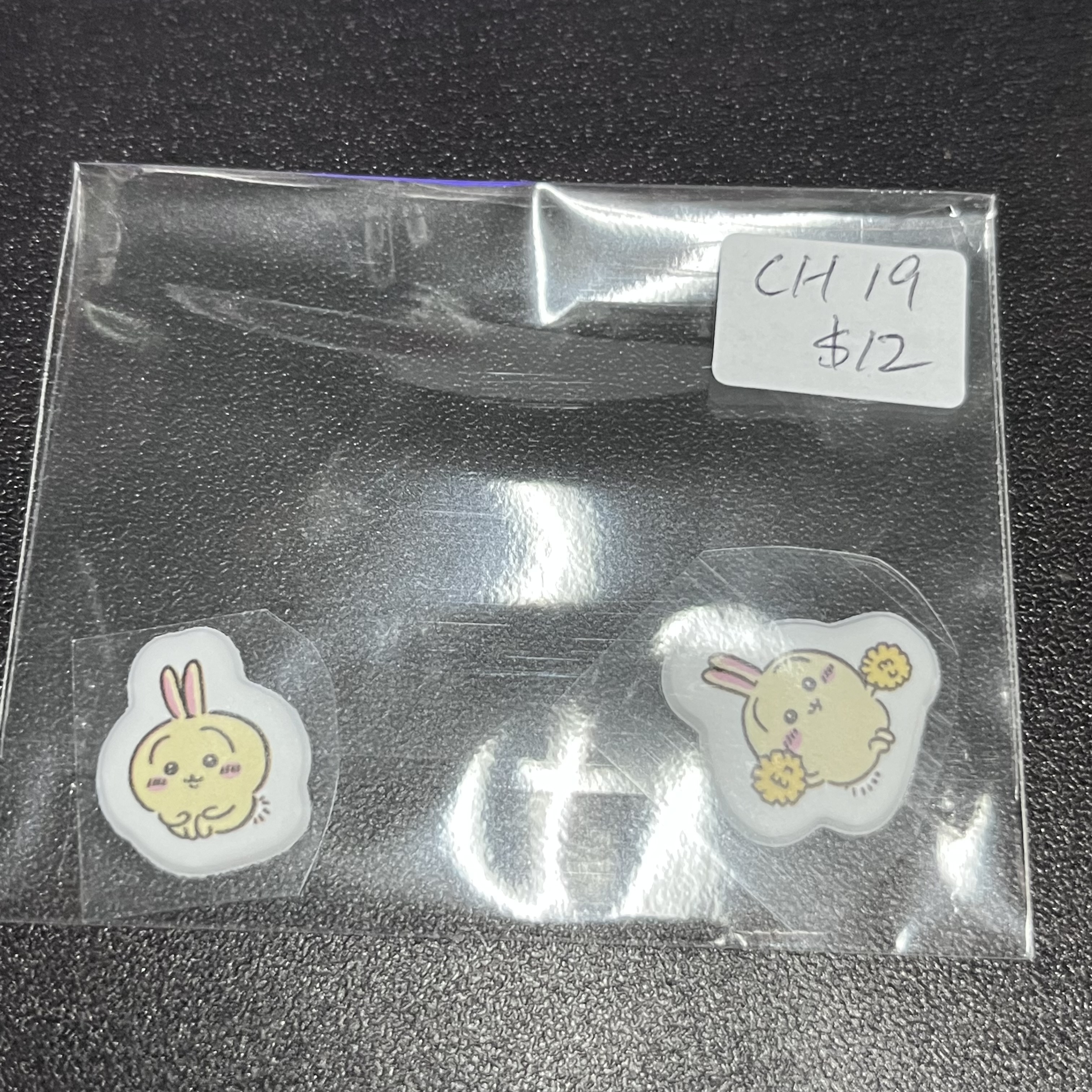 CHIIKAWA 貼紙 CH19