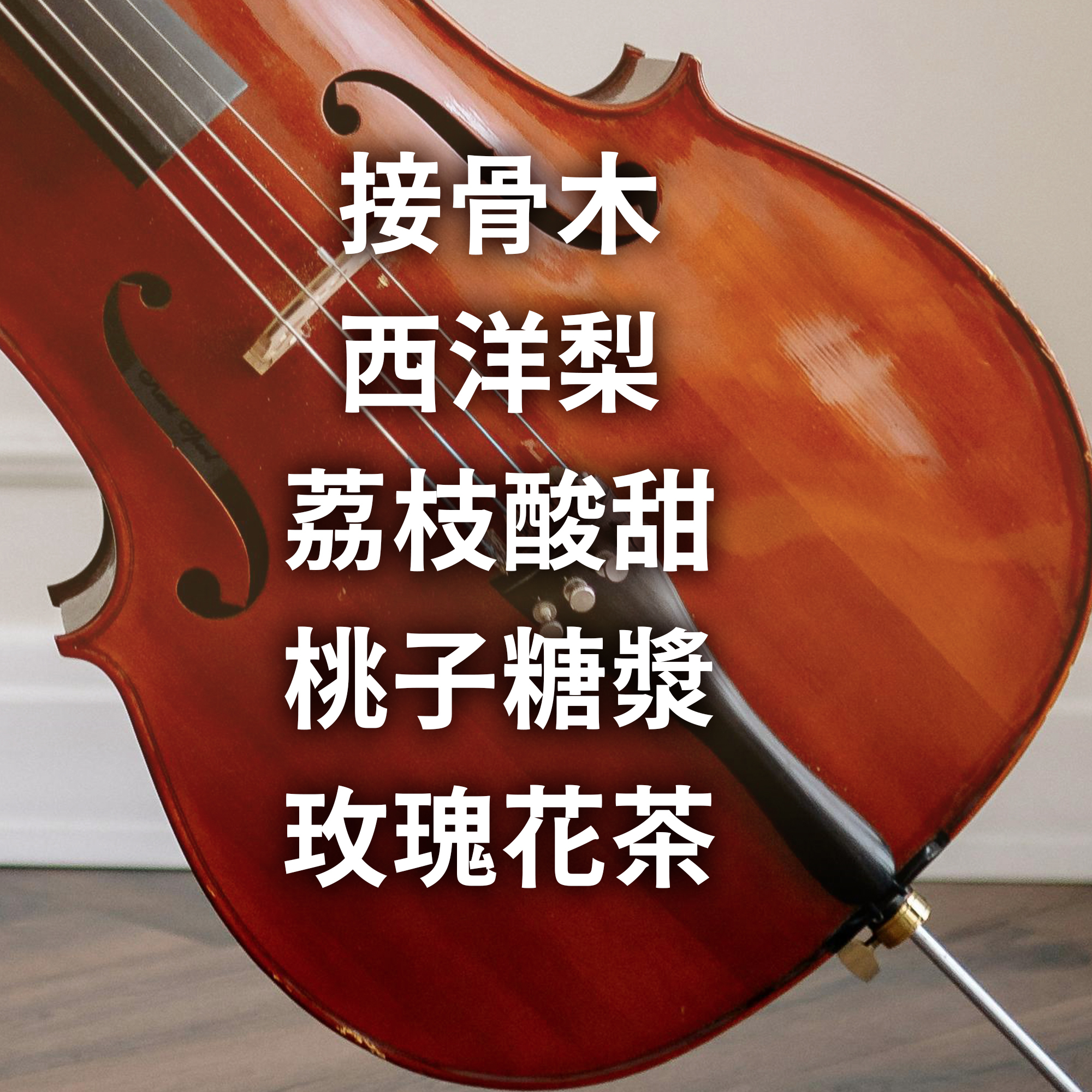 【2025 音樂家系列 - 舒伯特】中淺焙 哥斯大黎加 卡內特莊園 舒伯特 熱衝擊雙重厭氧