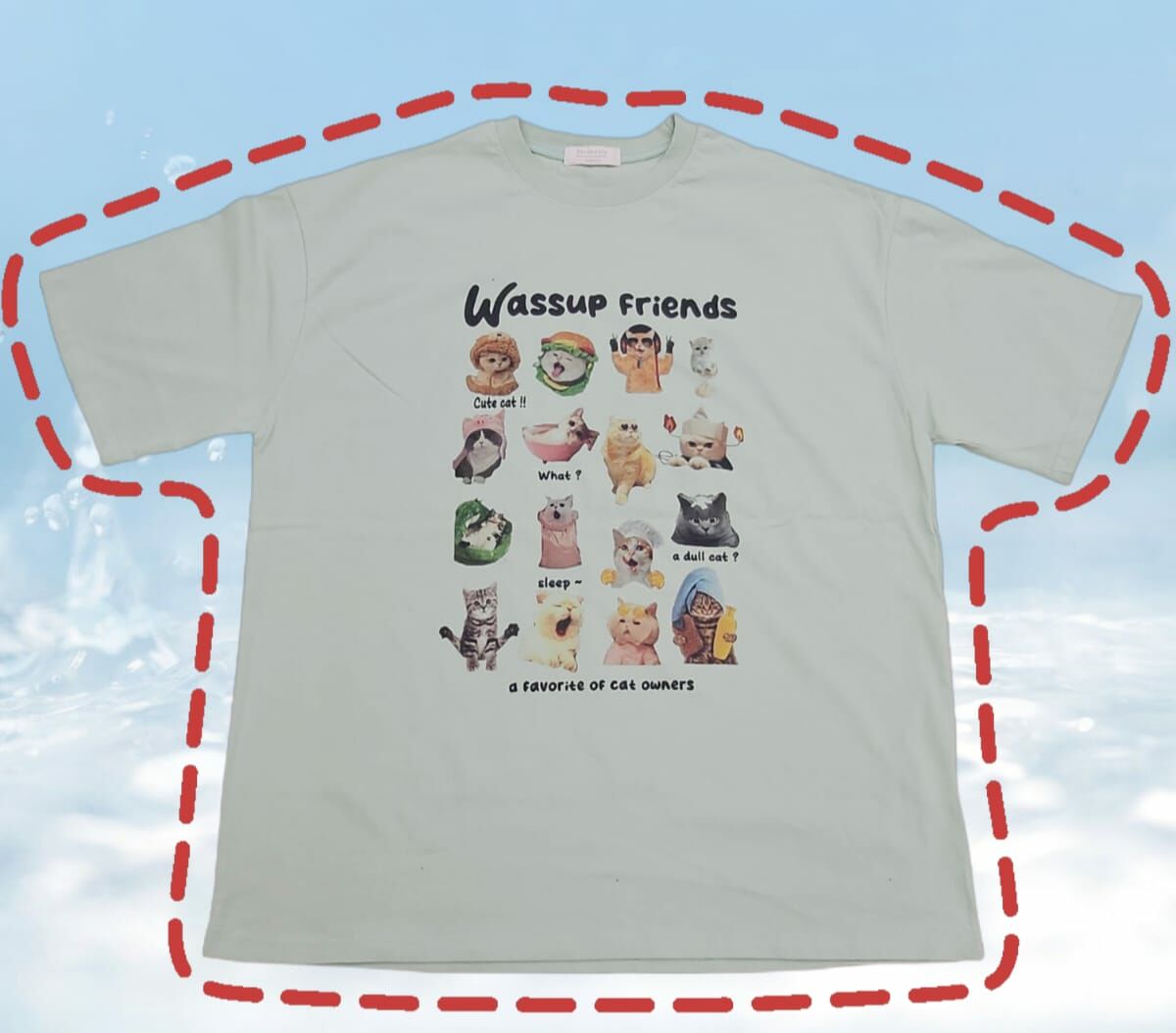 🇰🇷 Wassup Friends 貓咪 T-shirts（K3 M521）