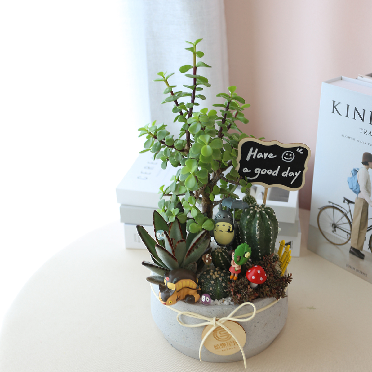 PD184｜多肉仙人掌造型盆栽